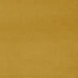 Yellows/Golds